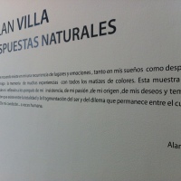 Alan Villa. Respuestas Naturales.